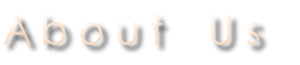 A b o u t    U s 
